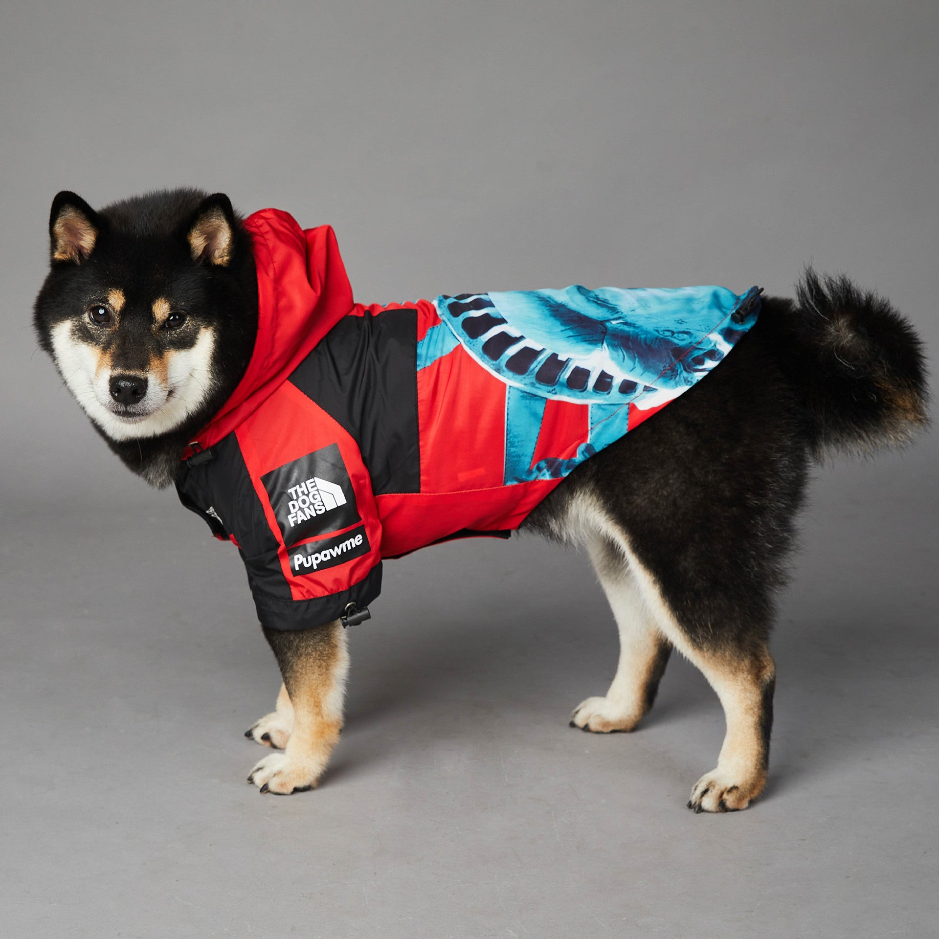 The Dog Fans Regenjacke NY in 3 verschiedenen Farben